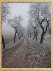 "Camino del Almendral"