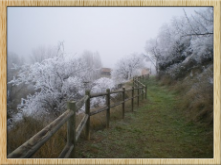 "Cencellada camino Ras Valls"